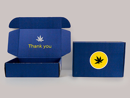  Blue Postal Mailer Box For Clothes